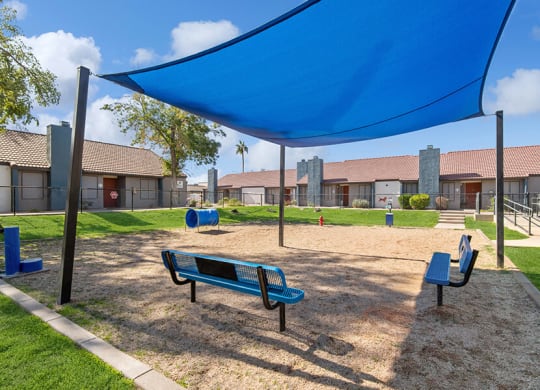 Community Dog Park with Agility Equipment and Blue Canopy at Peaks on 4th Apartments in Avondale, AZ.