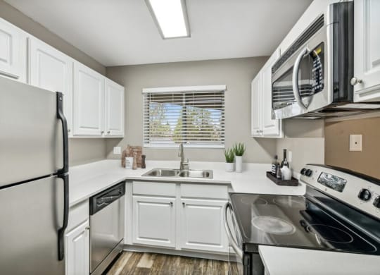 Model kitchen