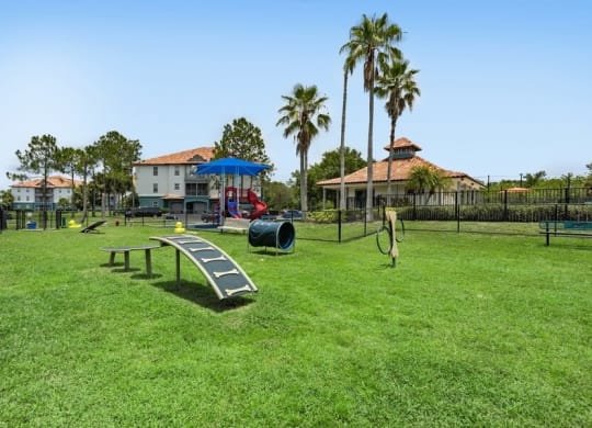 Dog park