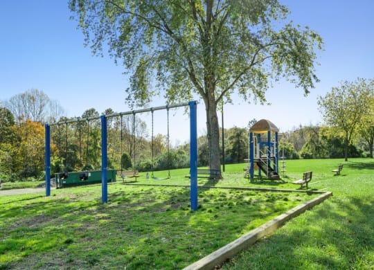 Playground