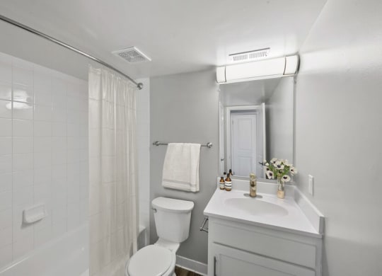 Model bathroom