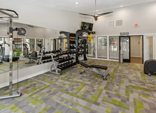 Fitness center free weights