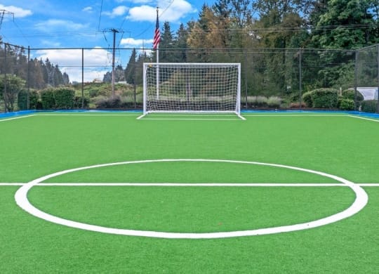 Soccer Field