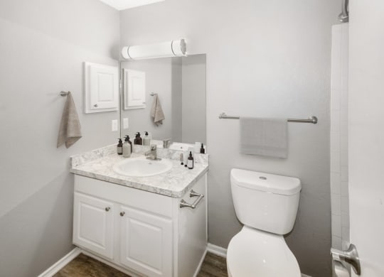 Model bathroom