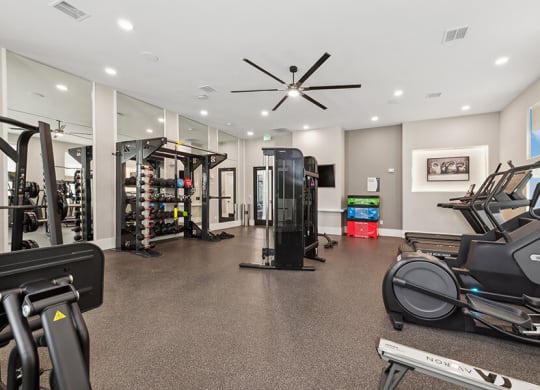 Community Fitness Center with Equipment at Alta 3Eighty Apartments located in Aubrey, TX.