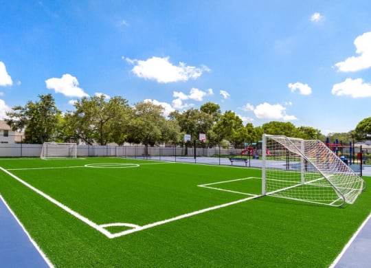 Soccer Field with turf