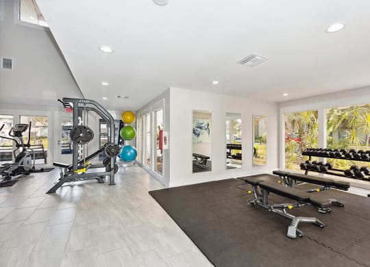 Community Fitness Center with Equipment at Seven Lakes at Carrollwood Apartments in Tampa, FL.