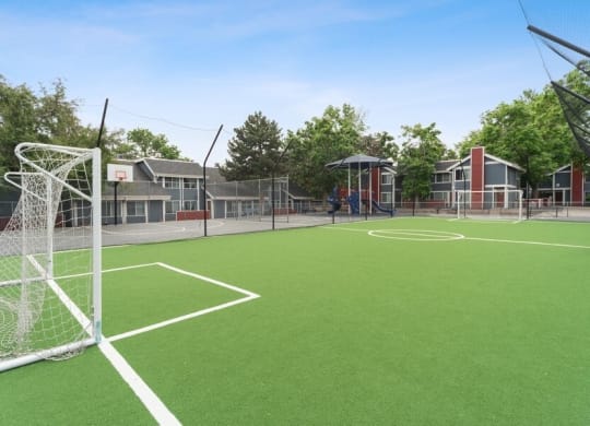 Soccer field