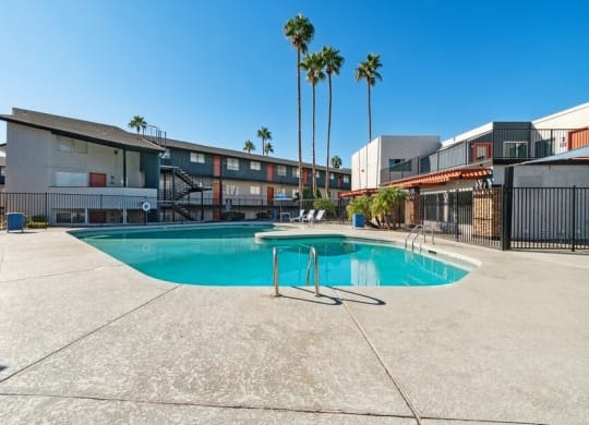 Swimming pool and palm trees