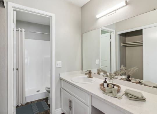a bathroom with a sink and a shower