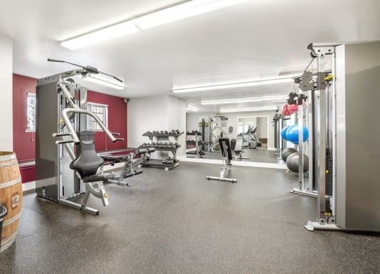Fitness center with lifting equipment