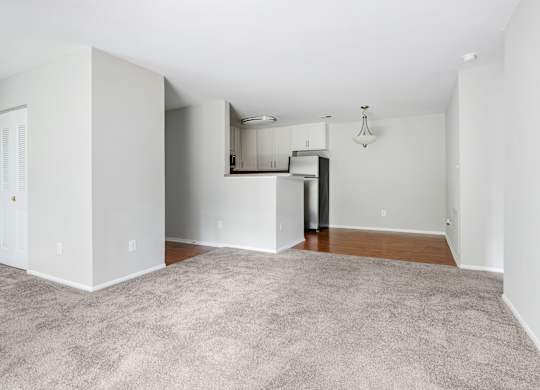 A spacious room with a carpeted floor and a small closet.