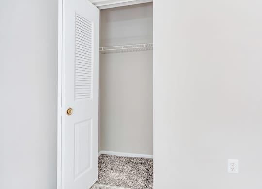 A white door with a gold handle is open to a white interior.