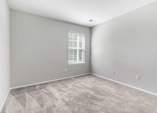 A room with a carpeted floor and a window with blinds.