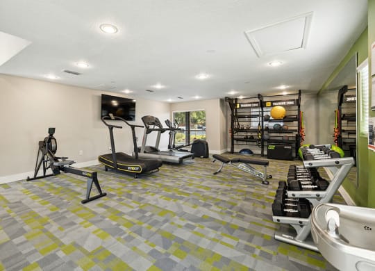 Fitness cetner with exercise equipment and a television