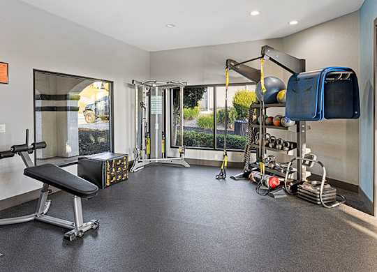 A home gym with a bench, weights, and exercise equipment.