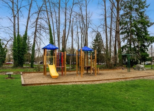 Community playground