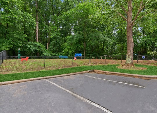 Community Dog Park with Agility Equipment at Park 2300 Apartments in Charlotte, NC.