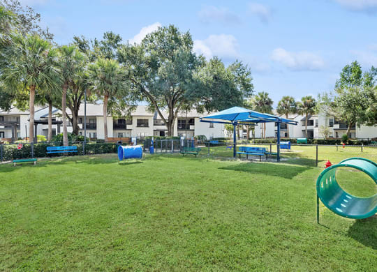 Community Dog Park with Agility Equipment at Rosehill Preserve Apartments in Orlando, FL.
