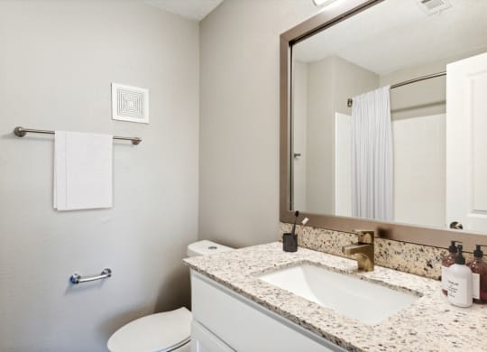Model apartment bathroom