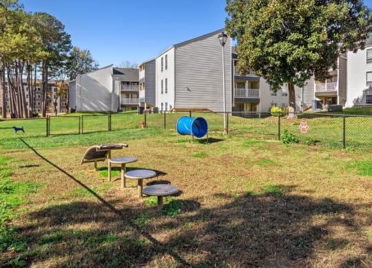 Community dog park