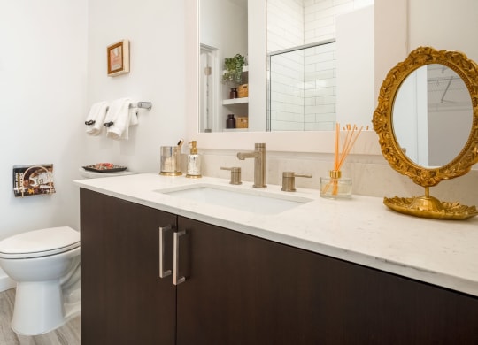 Model bathroom with dark vanity
