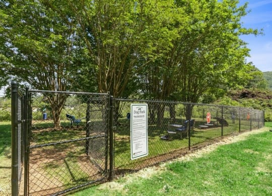 Fenced Dog park with large trees providing shade