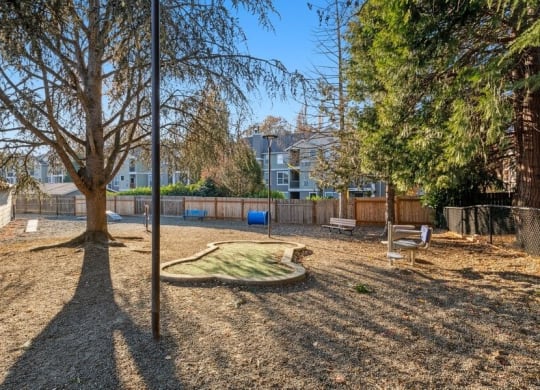 Dog park