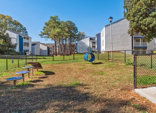 Dog park with agility equipment