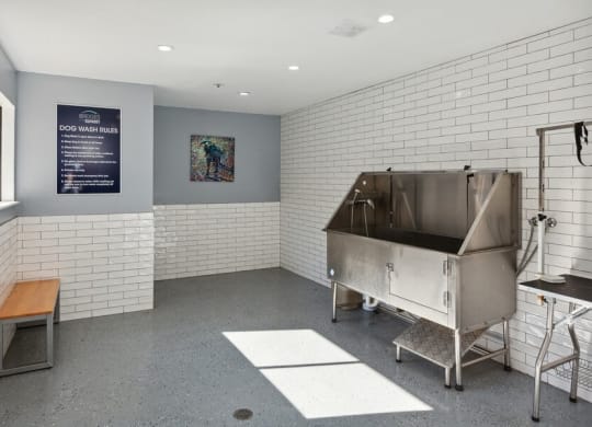 Dog wash room