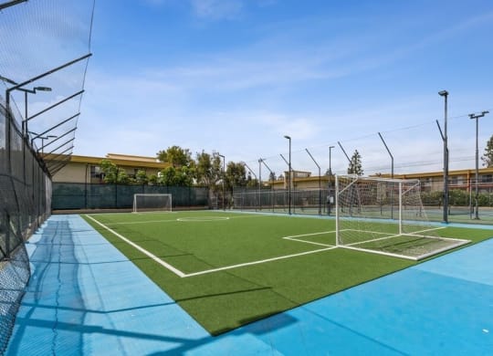 Soccer field