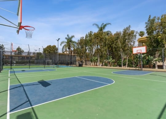 Basketball court
