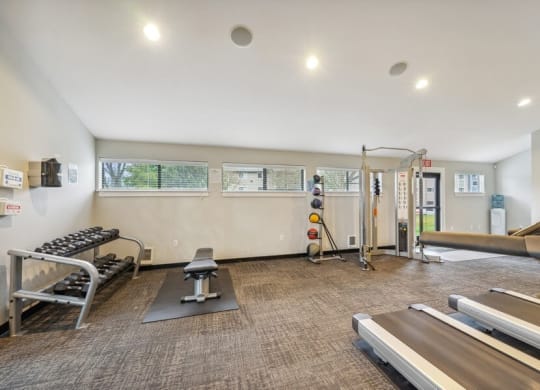 Community gym with weightlifting and cardio equipment