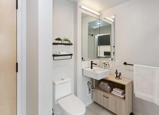 Model bathroom