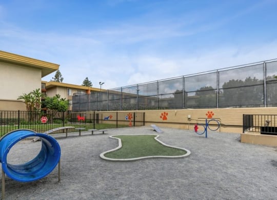 Dog park with agility equipement