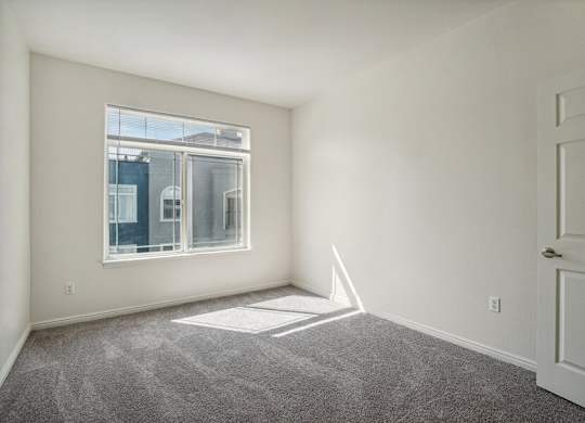 Model Bedroom with Carpet and Window View at Altitude on Fifth Apartments located in Salt Lake City, UT.