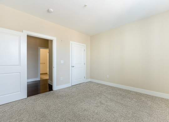 A room with two doors and a carpeted floor.