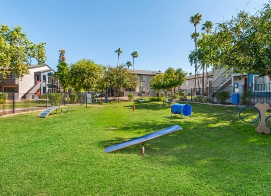 Community dog park