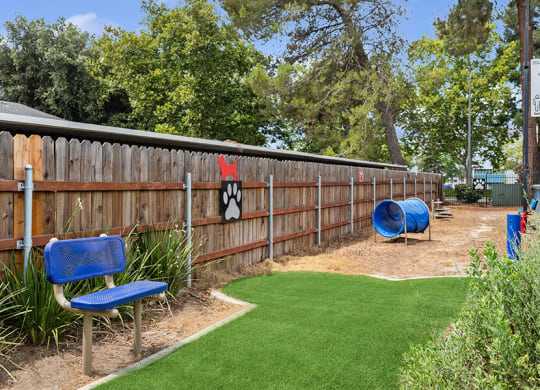 Community Dog Park with Agility Equipment at Fountains at Point West Apartments in Sacramento, CA.