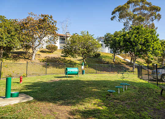 dog park