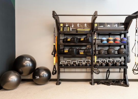 Fitness center with spheres and weights