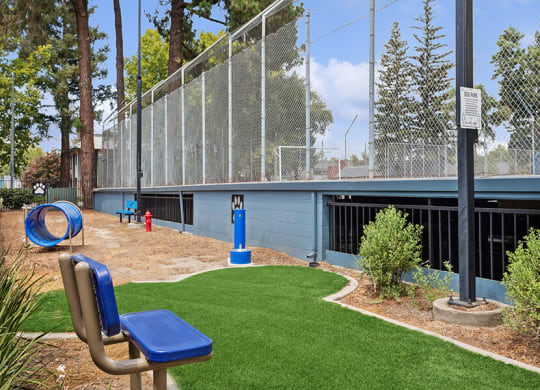 Community Dog Park with Agility Equipment at Fountains at Point West Apartments in Sacramento, CA.