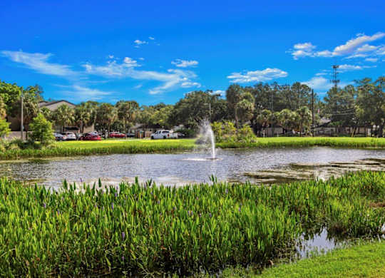 Community lake at Oasis at Bayside Apartments in Largo, FL