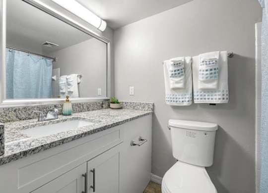 Model bathroom at Oasis at Bayside Apartments in Largo, FL