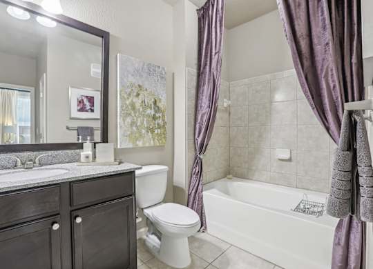 Model bathroom with a white toilet, a white bathtub, and a large mirror.