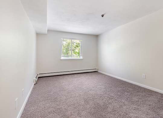 A room with a window and carpeted floor.