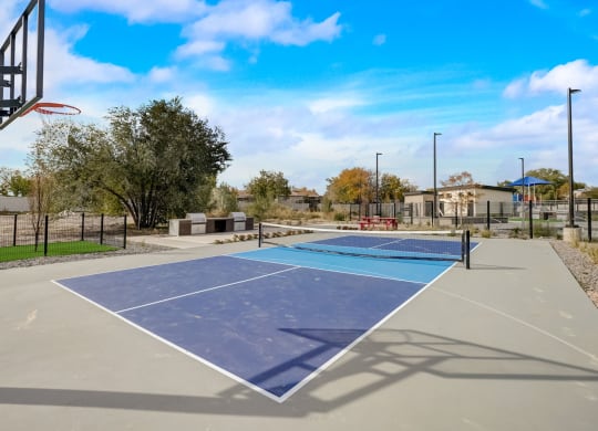 basketball and tennis
