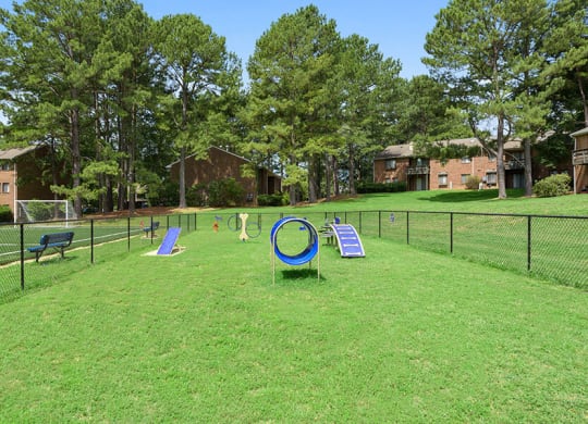 Fenced Dog park with agility equipment
