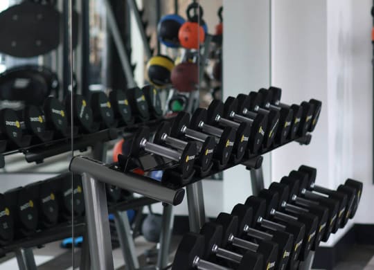 a row of dumbbells hanging from the ceiling in a gym