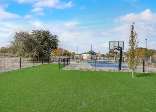 basketball and tennis